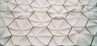 Wandpanelen zijn de nieuwe blikvanger in je interieur